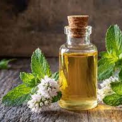 Peppermint Essential Oil - Tinh dầu bạc hà
